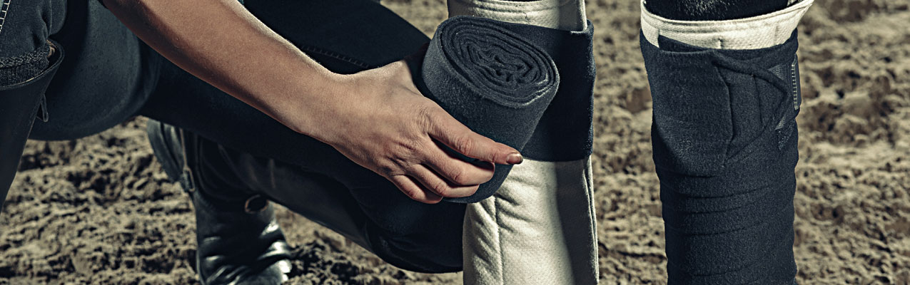 Arthrose beim Pferd