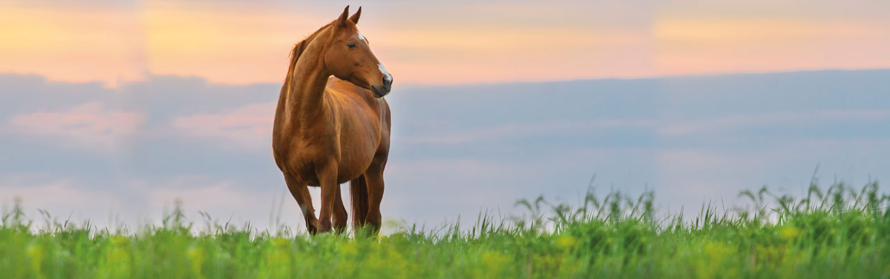Kreislaufprobleme bei schwankenden Temperaturen 