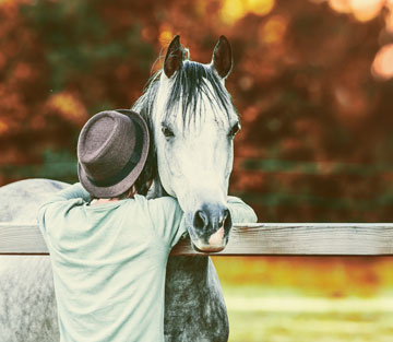 EMS – Equines Metabolisches Syndrom