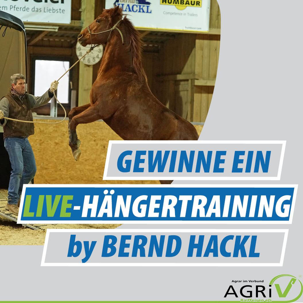 LIVE-TRAINING BY BERND HACKL ZU GEWINNEN