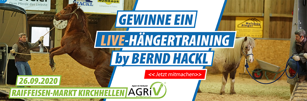 LIVE-TRAINING BY BERND HACKL ZU GEWINNEN LIVE-TRAINING BY BERND HACKL ZU GEWINNEN