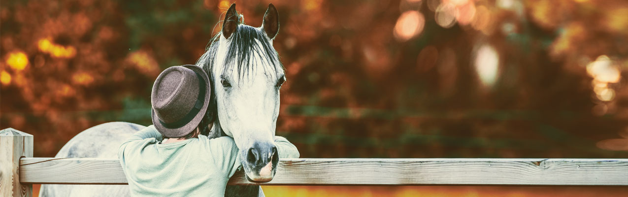 EMS – Equines Metabolisches Syndrom
