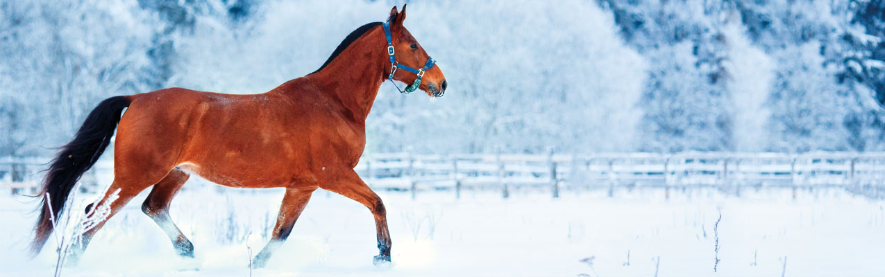Zu dünn im Winter Zu dünn im Winter