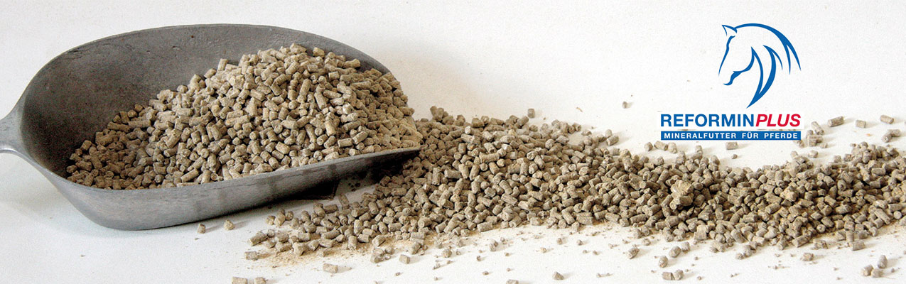 Warum und wann soll ich eigentlich Mineralfutter füttern?