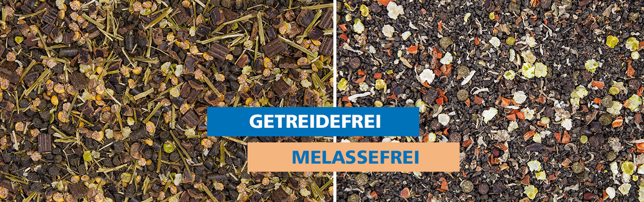 Getreidefreie Fütterung! Aber warum? Getreidefreie Fütterung! Aber warum?