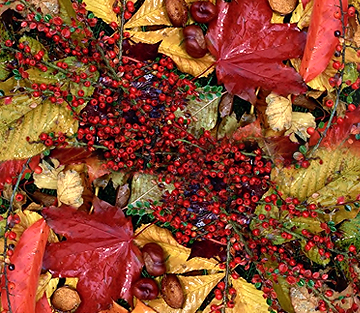 Der Herbst ist da!