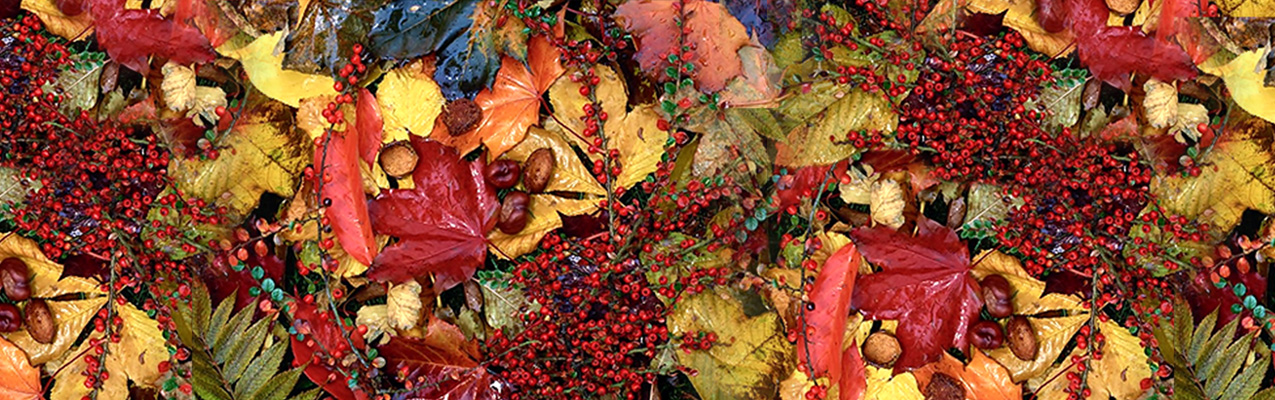 Der Herbst ist da!