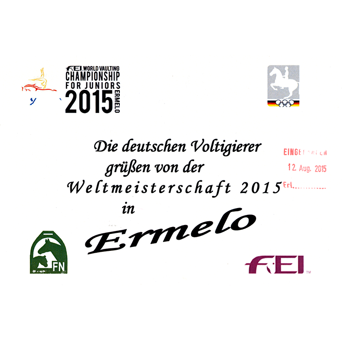 WM Voltigierer 2015