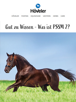 Newsletter August 2022